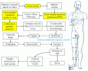 Meridiano do Fígado